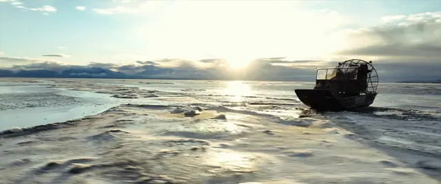 Still from Fathers & Feathers for Fathers & Feathers